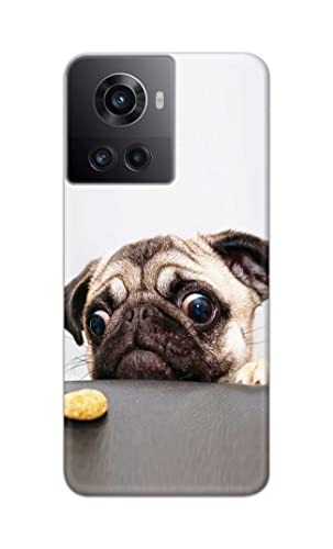 Image of PRINTFIDAA� Printed Hard Back Cover Case for OnePlus 10R 5G 80W | 150W Back Cover (Pug Dog) -2808