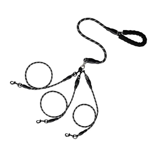 ybgpfAwbhpEH[LO[v g^p^[ 1{j 2{[v h~ O\(Black,3 heads)