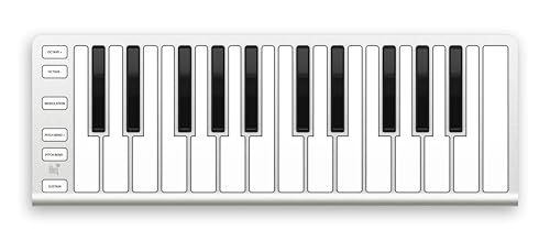 ESI Xkey Air25 の商品画像 1