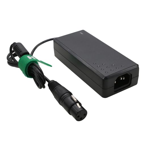 Adaptateur 48V 6A DC pour Aputure Amaran 200d S et 200x S