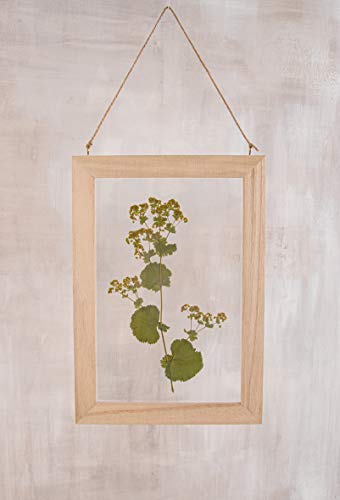 Rayher Blumenpresse, natur, 21 x 30 cm, Holz FSC zertifiziert, Blatt- und Blütenpresse, blumen trocknen presse, 27000505