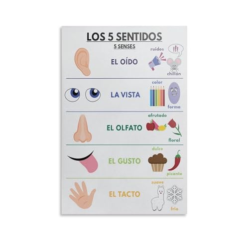 Poster éducatif espagnol haut de gamme en toile tendue avec châssis