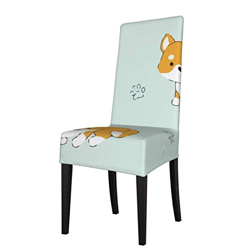 Stuhl Akita Die 15 besten Produkte im Vergleich Die besten Angel