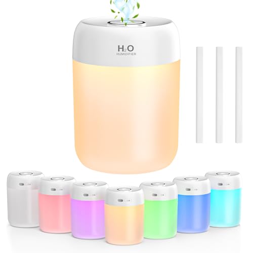 FUWANG Portable Mini Humidifier, 650ml Small Cool Mist Humidifier, USB Personal Desktop Humidifiers for Bedroom Travel Office Home Car Indoor Plants, 2 Mist Modes Quiet, Auto Shut-Off, White