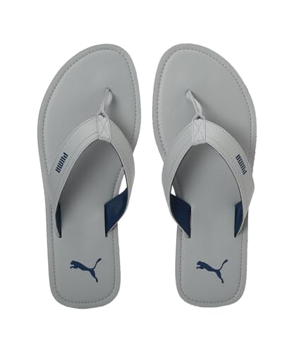 Image of Puma mens Wick Sailing Blue-Quarry-White Flip-Flop - 11 UK (38795101)