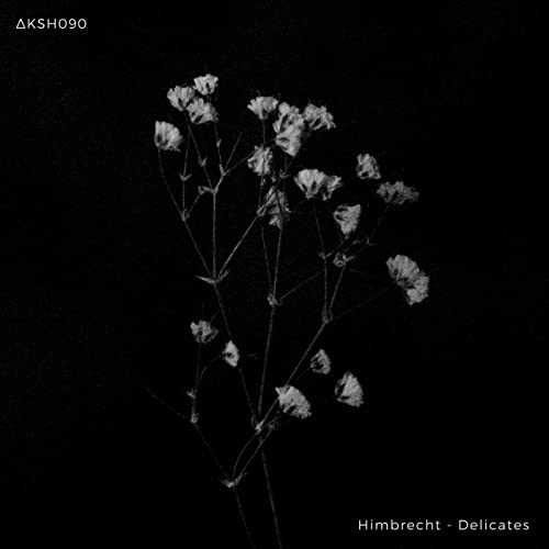 Himbrecht & AKASHA MX