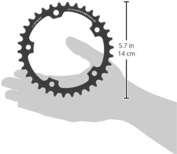 Campagnolo Super Record 11S 50/34T 5アーム ロードバイクショップ COG'S 「コグス」 | CAMPAGNOLO カンパニョーロ