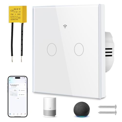 Ainiv Smart Light Switch 2 Gang, WiFi Smart Touch Wall Switch with Capacitor, Multi-Control by Voice/APP Sharing WiFi Switch