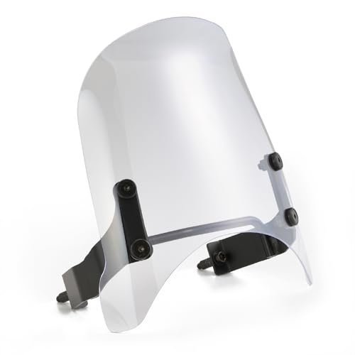 デイトナ DAYTONA スクリーン レブル1100 Amazon | デイトナ(Daytona) レブル1100/DCT(21-23)専用