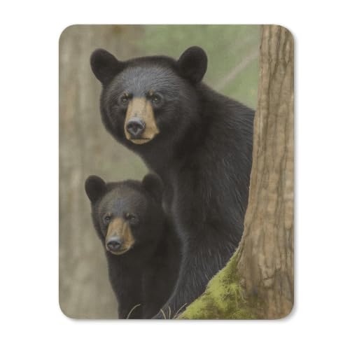 Black Bear Mother and Cub ���o�[�}�E�X�p�b�h | �v���~�A���X�N�G�A�}�E�X�}�b�g�A����~�߃x�[�X�A�X���[�Y�g���b�L���O�f�X�N�p�b�h�A�m�[�g�p�\�R���A�f�X�N�g�b�v�A��Ƌ@��A����g�p�̏u�ԂɁB