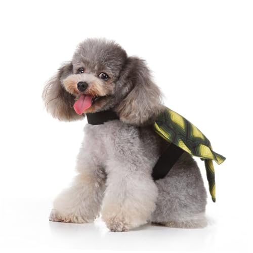 Disfraz para perro tortuga Halloween S creativo cómodo