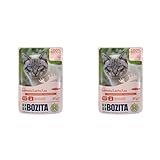Bozita