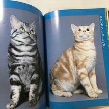 Amazon.co.jp: zaa-275ムツゴロウとゆかいな仲間たち 10―畑正憲珠玉の