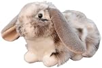 Realistic Rabbit Stuffed Animal-Gray 10.62",Rabbit Plush Toy, Rabbit Stuffed Animal,Soft Toy for Boy,Girl Toys,Gifts for Kids, Home Decor,Hugging Toy