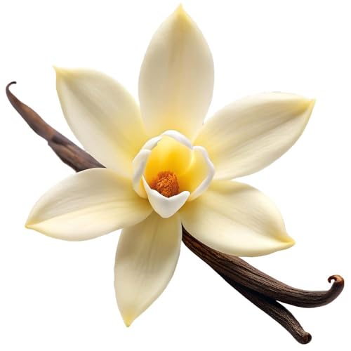Miniatura 6 de Gran Velada - Esencia Aromática Coco Vainilla 50 Ml Fragancia Afrodisíaca Ideal Para Cosmética Natural, Velas Y Jabones Alta Concentración Aroma Duradero Y Envolvente