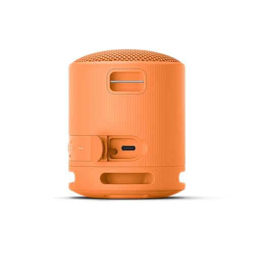 Sony SRS-XB100 Alto-falante portátil sem fio Bluetooth leve e supercompacto, extradurável, IP67, à prova d'água e à prova de poeira, bateria de 16 horas, alça versátil e chamadas sem... glide