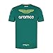 Aston Martin F1 2025 Men's Team Tshirt Green - Size: M