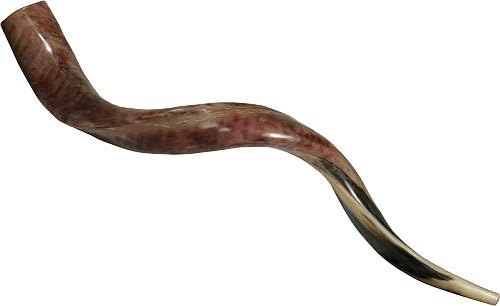 Chofar Corne De Kudu Yemenite Poli - Shofar Kosher 60-68 Cm Artisanat Jérusalem