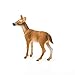 Schleich Wild Life, Animal Figurine, Animal Toys for Boys and Girls 3-8 Years Old, White-Tailed Doe, Ages 3+