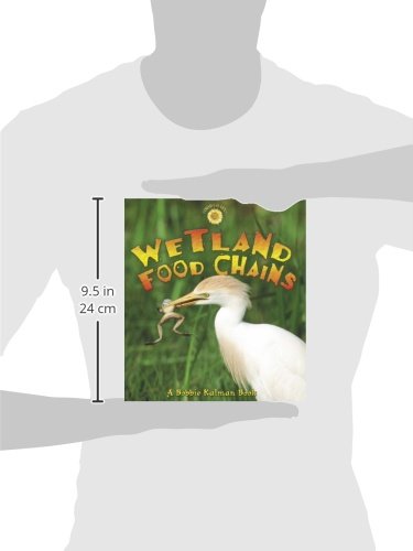 Wetland Food Chains - Image 2