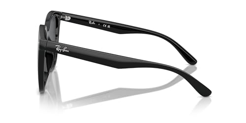 Image of Ray-Ban Unisex Rb4423d Square Sunglasses