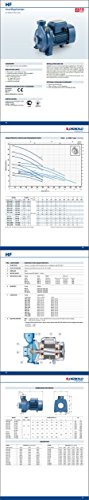 Pedrollo Average flow rate Centrifugal Electric Water Pump HFm 5B 1Hp 240V