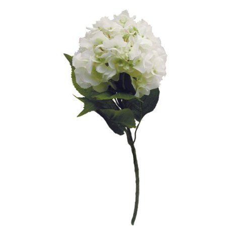 FloristryWarehouse Tige d'hortensia artificiel Blanc 60 cm