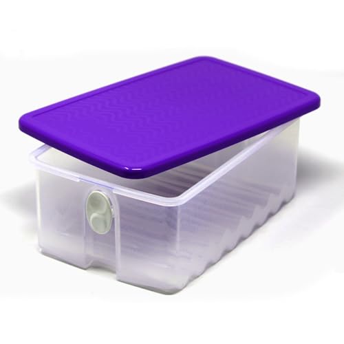 SIGNORA WARE KlimaOase Klima Oasebehälter Lebensmittelaufbewahrung Kühlbox Frutas Verduras Prima Klima Klima transparent lila violeta 1,8 litros