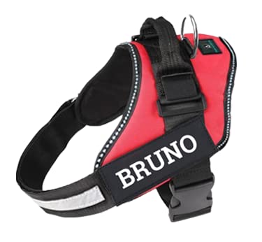 IndiHopShop Custom Dog Harness | Dog Harness with Dog Name | No Pull Pet Vest | Adjustable | Reflective (M) (B0C592PMG4) Amazon Price History, Amazon Price Tracker