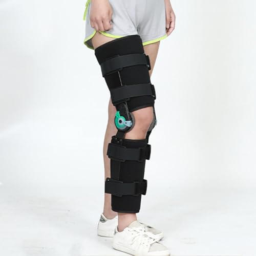 TChX^rCU[tqWGu[XAjp߉\ȕGT|[gu[XA/ErpA~jE`OȃT|[gX^rCU[,Left-S