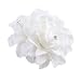AKOAK New Beauty Women's Bridal Wedding Rhinestone Orchid Hair Clip Barrette Bridal Wedding Party Women Accessories (1Pcs,White)