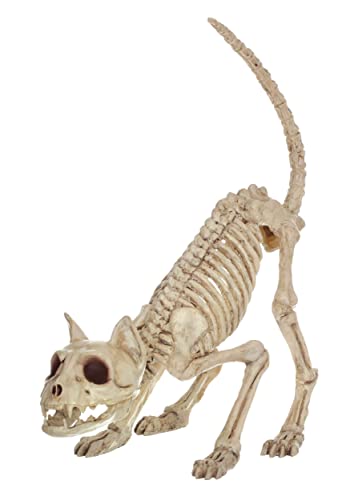 Crazy Bonez Skeleton Cat - Lil' Kitty Bonez