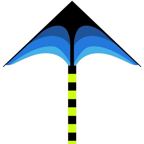 5 Best Kites for Low Wind Conditions Elevate Your Kite Flying Experience