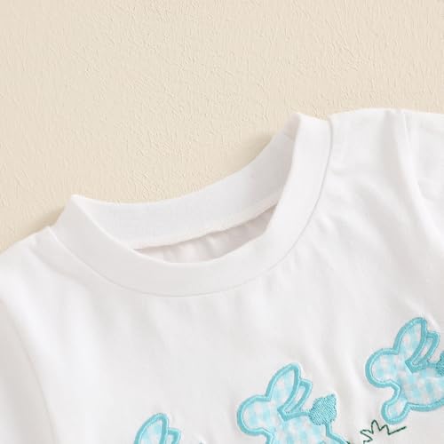 Image of Toddler Baby Boy Easter Rabbit Outfit Short Sleeve Bunny Carrot Smocked T-shirt Elastic Waist Shorts Summer Clothes