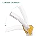 Ultrassist Human Elbow Joint Model with Ligaments, Flexible Knee Joint Model, Human Knee Joint Anatomy Model, Best Teaching Tool for Patient Education & Anatomy Study