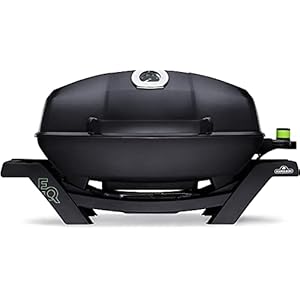 Napoleon Propane Gas Grill