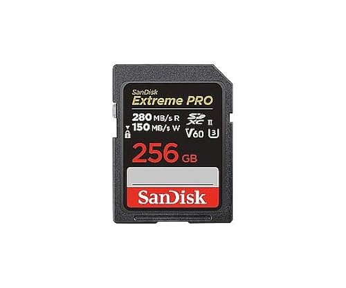 TfBXN TfBXN GNXg[ v SDXC UHS-II V60 256GB SDSDXEP-256G-JNJIP