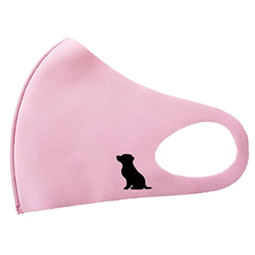 { }XN  |Cg _bNXth VGbg R ₷  킢 􂦂 KO-17t@bV