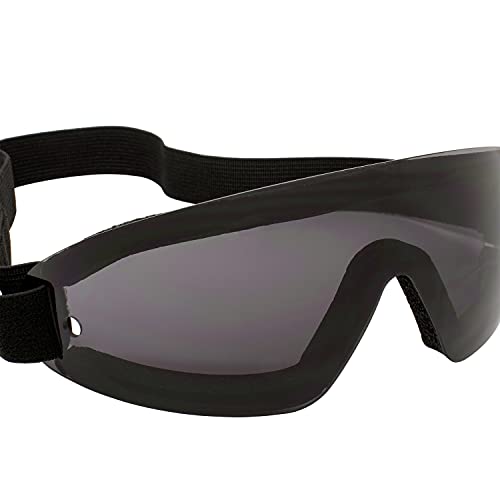 Birdz Eyewear Wing Goggles Black Frame Smoke Lens Skydiving Extreme Sports 100% UV Protection Antifog Coated Adjustable Strap Peripheral Vision Neoprene Foam Padding Shatterproof Lens Microfiber Bag