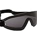 Birdz Eyewear Wing Series Goggles (Smoke Lens)