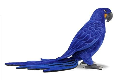 Hansa Animal