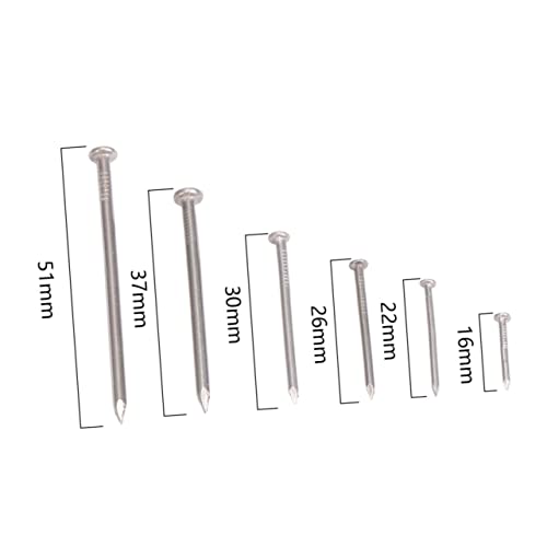 Juego de 460 Clavos Redondos de Cabeza Plana de Acero Inoxidable para Madera, Sujetadores Resistentes para Proyectos de Bricolaje miniatura 5