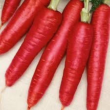 NurseryNature Red Carrots, Gajar Hybrid Seeds-image-37