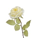 Bodhi2000 Fleurs artificielles élégantes de couleur vive avec feuilles - Arrangement floral décoratif pour maison, bureau, hôtel, centre de table - Blanc