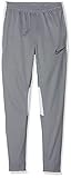 Pantalón Fútbol Niño Nike B Nk Dry Acdmy Pant Smr Kpz Pantalón, Niños, Cool Grey/White/Black, M
