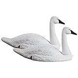 Higdon Outdoors Floating and Field Full-Size Tundra Swan Decoy Pair for Waterfowl and Ornamental Water Garden, Pond and Landscape Decoration Plus Pest Deterrent