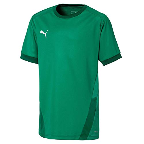 PUMA Teamgoal 23 Jersey Jr Camiseta, Unisex niños, Team Light Blue/Blue Yonder, 128