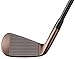 TaylorMade Golf P790 Copper 4-PW Right Hand Steel Stiff