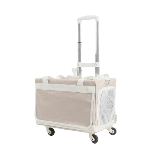 Klivex L L[obO ybg 傫 y 2Cp e [ LX^[t  o  L 4 2C L [P[X 萫 ʋC  [ bN e hCu s O ЊQp (J[L,{gobO+^Cb