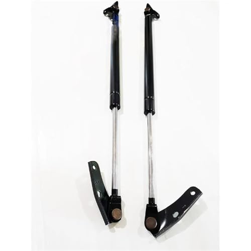Support de levage à ressort tige hydraulique Fortuner
